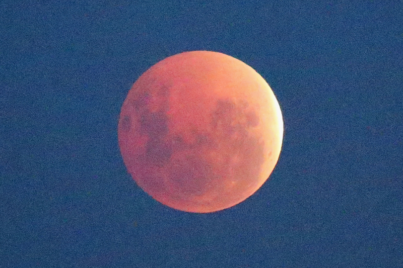 Illustration for article titled Stunning Images From Last Night's Blood Moon